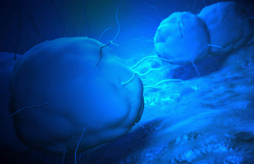 无人,横图,插画,室内,白天,白色背景,正面,数码,科技,静物,阴影,网络,细菌,医学,细胞,高光,几何,计算机图形,合成,图画,画,人体,电脑合成图,数码合成图,病毒,生物学,漫画,病菌,生理学,写实,具体,具象,淋病,性病,彩图