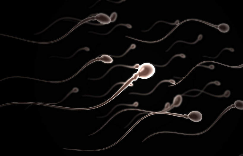 无人,横图,插画,室内,白天,正面,数码,分子,科技,微生物,静物,阴影,黑色背景,网络,医学,高光,几何,计算机图形,合成,图画,画,精子,生物,人体,繁衍,电脑合成图,数码合成图,医疗,生物学,繁殖,漫画,生理学,写实,具体,具象,寄生,生命体,彩图