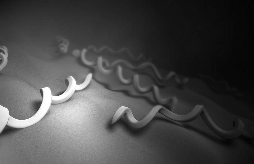 无人,横图,黑白,插画,室内,白天,正面,数码,分子,科技,微生物,静物,阴影,网络,细菌,医学,细胞,高光,几何,计算机图形,合成,图画,画,生物,人体,电脑合成图,数码合成图,医疗,生物学,漫画,生理学,写实,具体,具象,寄生,生命体,螺旋菌,梅毒螺旋体