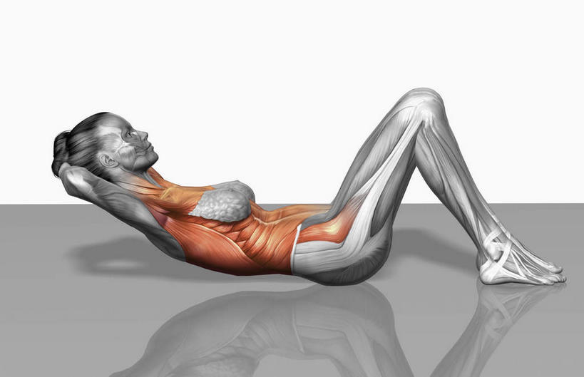 动脉,静脉,骨骼,肌肉,健壮,一个人,无人,坐,横图,插画,室内,特写,白天,白色背景,侧面,数码,科技,静物,哑铃,仅一个年轻女性,仅一个女性,仅一个人,握,阴影,光线,网络,医学,影子,灯光,骨头,高光,几何,计算机图形,拿,合成,图画,拿着,注视,运动器械,画,模型,观察,看,健康,健身器械,活力,力量,握着,人体,观看,青春,电脑合成图,数码合成图,骨架,察看,生物学,强壮,关注,胸肌,健身器材,漫画,生理学,写实,具体,具象,背阔肌,三角肌,前锯肌,胸锁乳突肌,腹外斜肌,腹直肌,年轻女性,女人,女性,坐着,彩图,全身,运动器材