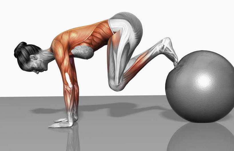 动脉,静脉,骨骼,肌肉,健壮,一个人,无人,横图,插画,室内,特写,白天,白色背景,侧面,数码,科技,静物,仅一个年轻女性,仅一个女性,仅一个人,撑,阴影,光线,网络,医学,影子,灯光,骨头,高光,几何,计算机图形,合成,图画,注视,运动器械,画,模型,观察,看,健康,健身器械,健身球,活力,力量,人体,观看,青春,瑜伽球,电脑合成图,数码合成图,骨架,察看,生物学,撑着,强壮,关注,健身器材,漫画,生理学,写实,具体,具象,背阔肌,腹外斜肌,胫骨前肌,股直肌,年轻女性,女人,女性,彩图,全身,运动器材