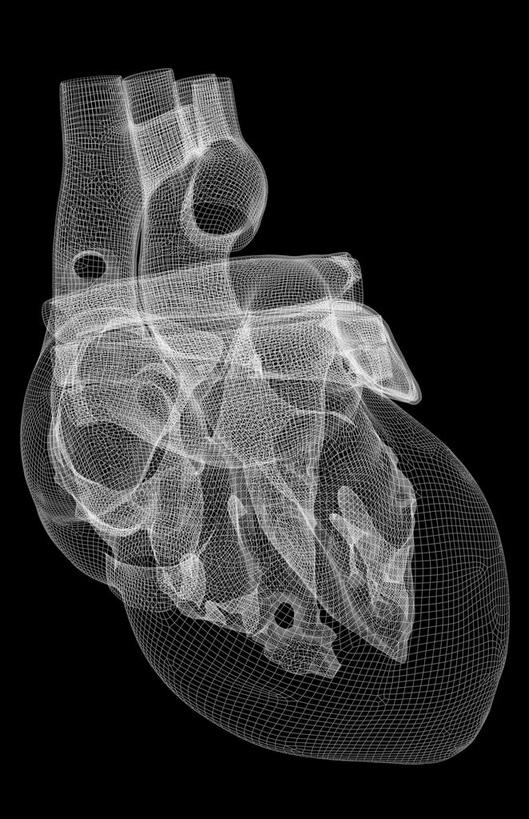 内脏,心脏,动脉,静脉,无人,竖图,黑白,插画,室内,白天,正面,数码,科技,静物,阴影,黑色背景,局部,网络,医学,高光,几何,计算机图形,合成,图画,画,模型,人体,电脑合成图,数码合成图,生物学,器官,漫画,心血管,心房,心室,生理学,写实,具体,具象,肺静脉,腔静脉,心