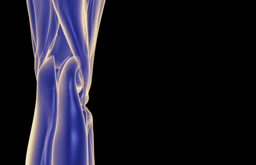 腿部,膝关节,肌肉,腿,健壮,无人,横图,插画,室内,白天,正面,数码,科技,静物,阴影,黑色背景,局部,网络,医学,高光,几何,计算机图形,合成,图画,画,健康,活力,力量,人体,青春,电脑合成图,数码合成图,生物学,强壮,韧带,漫画,生理学,写实,具体,具象,髌韧带,彩图