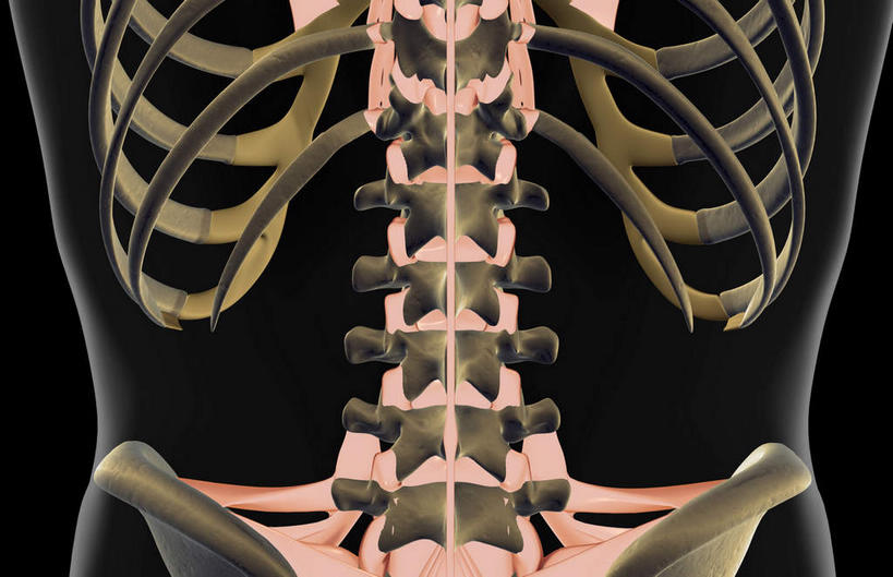 骨骼,胸骨,肋骨,脊椎,骨盆,无人,横图,插画,x光片,室内,白天,正面,数码,科技,静物,阴影,黑色背景,局部,辐射,科学,网络,医学,骨头,高光,几何,计算机图形,合成,图画,画,人体,电脑合成图,数码合成图,骨架,医疗,生物学,科学技术,x射线,盆骨,x光,韧带,漫画,生理学,写实,具体,具象,髋骨,胸椎,腰骨,脊椎骨,肋软骨,脊柱,彩图,电磁波,电磁辐射