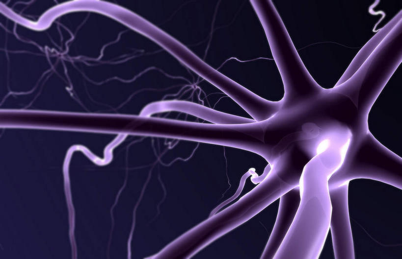 无人,横图,插画,室内,特写,白天,正面,数码,分子,科技,微生物,静物,阴影,黑色背景,网络,医学,细胞,枝条,高光,几何,计算机图形,合成,图画,画,生物,分叉,人体,电脑合成图,数码合成图,医疗,生物学,漫画,神经元,生理学,写实,具体,具象,神经细胞,运动神经元,彩图,神经系统