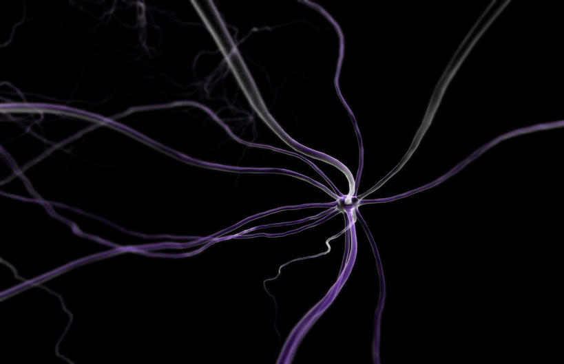 无人,横图,插画,室内,特写,白天,正面,数码,分子,科技,微生物,静物,阴影,黑色背景,网络,医学,细胞,枝条,高光,几何,计算机图形,合成,图画,画,生物,分叉,人体,电脑合成图,数码合成图,医疗,生物学,漫画,神经元,生理学,写实,具体,具象,神经细胞,运动神经元,彩图,神经系统