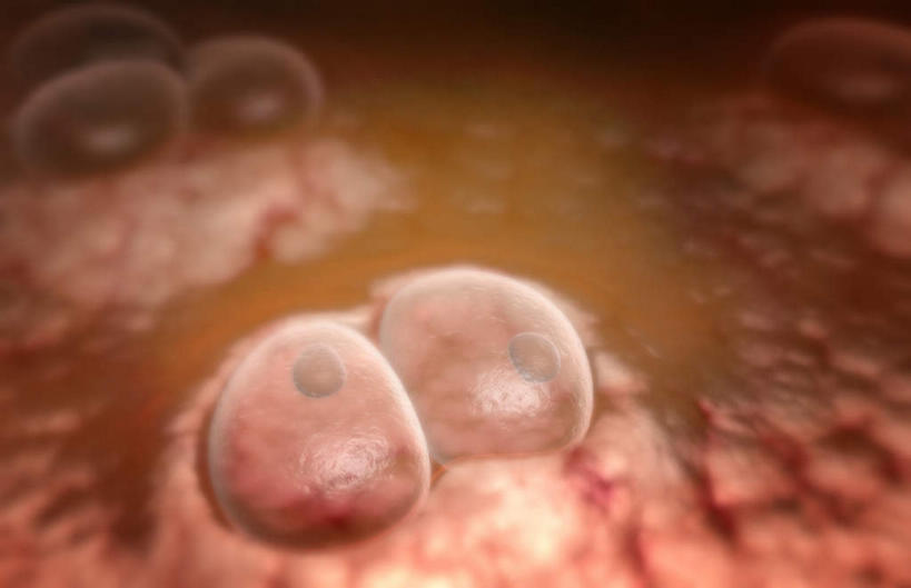 骨骼,无人,横图,插画,室内,特写,白天,正面,数码,科技,静物,阴影,黑色背景,网络,医学,骨头,高光,几何,计算机图形,合成,图画,画,人体,电脑合成图,数码合成图,骨架,生物学,漫画,软骨,生理学,写实,具体,具象,弹性软骨,彩图