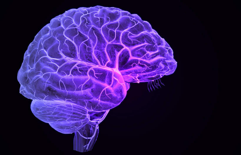 动脉,血管,无人,横图,插画,x光片,室内,特写,白天,正面,数码,科技,静物,大脑,阴影,黑色背景,辐射,科学,网络,医学,高光,几何,计算机图形,合成,图画,画,人体,电脑合成图,数码合成图,医疗,生物学,科学技术,x射线,器官,沟壑,x光,漫画,小脑,脑干,生理学,写实,具体,具象,大脑皮层,端脑,沟,灰质,回,间脑,脑动脉,彩图,电磁波,电磁辐射