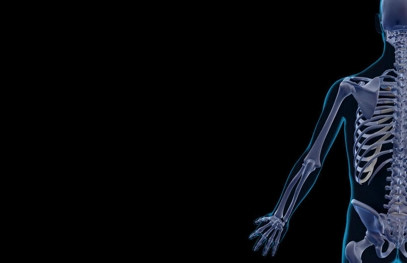 锁骨,肩胛骨,骨骼,胸骨,肋骨,骨盆,无人,横图,插画,x光片,室内,特写,白天,正面,数码,科技,静物,阴影,黑色背景,辐射,科学,网络,医学,线条,骨头,高光,几何,计算机图形,合成,图画,画,人体,轮廓,电脑合成图,数码合成图,骨架,医疗,生物学,科学技术,x射线,盆骨,x光,漫画,生理学,写实,具体,具象,尺骨,骶骨,肱骨,髋骨,桡骨,腕骨,尾骨,胸椎,腰骨,掌骨,指骨,肋软骨,半身,彩图,电磁波,电磁辐射