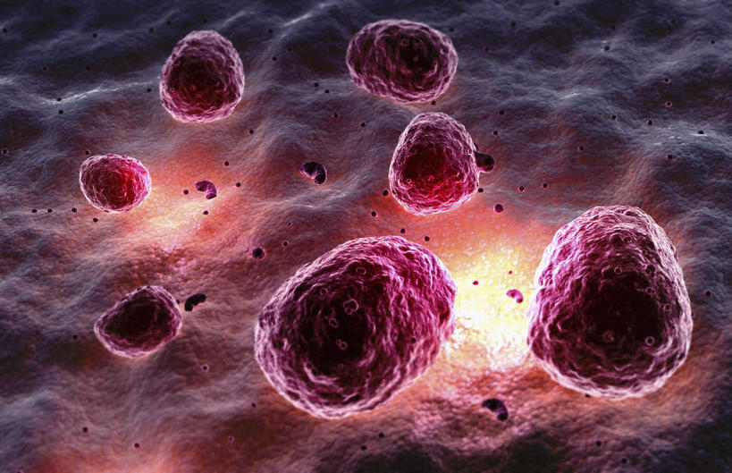 无人,横图,插画,室内,特写,白天,正面,数码,分子,科技,微生物,静物,阴影,黑色背景,网络,细胞核,医学,细胞,高光,几何,计算机图形,合成,图画,画,生物,人体,电脑合成图,数码合成图,医疗,生物学,血小板,漫画,生理学,写实,具体,具象,寄生,生命体,巨核细胞,彩图