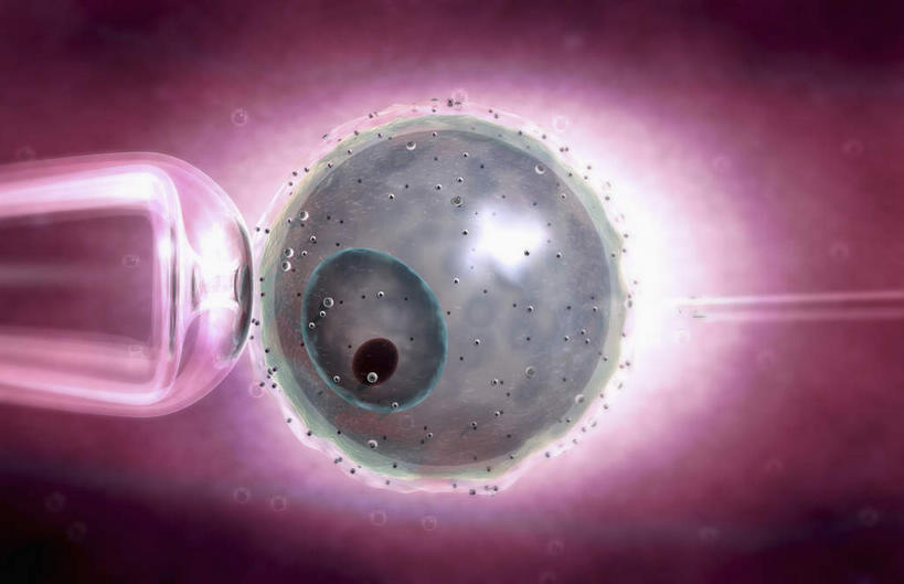 无人,横图,插画,室内,特写,白天,正面,数码,科技,静物,阴影,黑色背景,科学,网络,医学,高光,几何,计算机图形,合成,图画,画,怀孕,人体,电脑合成图,数码合成图,医疗,生物学,科学技术,人工受精,漫画,试管婴儿,生理学,写实,具体,具象,彩图,体外受精,体外受孕