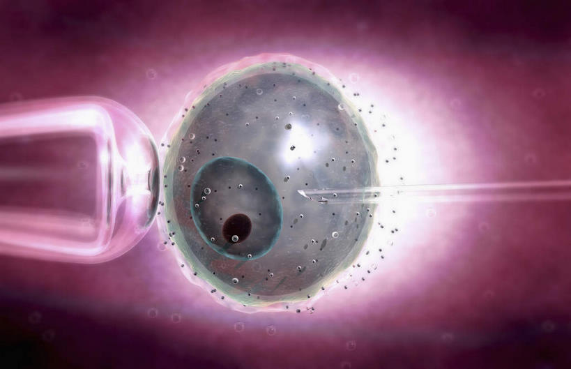 无人,横图,插画,室内,特写,白天,白色背景,正面,数码,科技,静物,阴影,科学,网络,医学,细胞,高光,几何,计算机图形,合成,图画,画,怀孕,人体,电脑合成图,数码合成图,医疗,生物学,科学技术,人工受精,漫画,试管婴儿,生理学,写实,具体,具象,彩图,体外受精,体外受孕