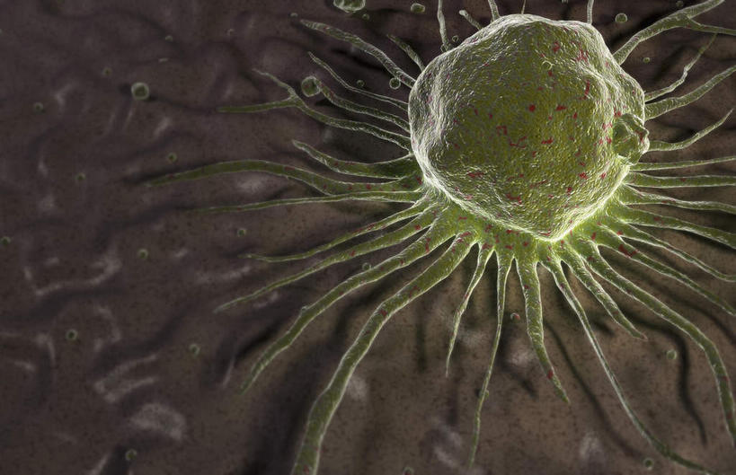 无人,横图,插画,室内,特写,白天,正面,数码,科技,静物,阴影,黑色背景,网络,医学,细胞,高光,几何,计算机图形,合成,图画,画,人体,电脑合成图,数码合成图,生物学,漫画,生理学,写实,具体,具象,红细胞,彩图,干细胞