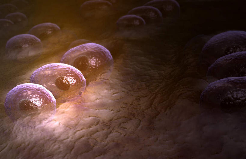 无人,横图,插画,室内,白天,白色背景,正面,数码,科技,静物,阴影,网络,医学,细胞,高光,几何,计算机图形,合成,图画,画,人体,电脑合成图,数码合成图,生物学,漫画,软骨,生理学,写实,具体,具象,彩图