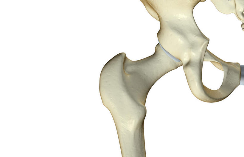 骨骼,无人,横图,插画,室内,特写,白天,白色背景,正面,数码,科技,静物,阴影,网络,医学,骨头,高光,几何,计算机图形,合成,图画,画,人体,电脑合成图,数码合成图,骨架,生物学,漫画,生理学,写实,具体,具象,髋关节,彩图