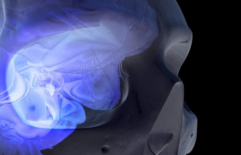 动脉,静脉,骨骼,无人,站,横图,插画,x光片,室内,特写,白天,正面,数码,科技,静物,阴影,黑色背景,辐射,科学,网络,医学,支架,骨头,高光,几何,计算机图形,合成,图画,画,蓝色,模型,站着,皮质,人体,电脑合成图,数码合成图,骨架,医疗,生物学,科学技术,x射线,x光,漫画,生理学,写实,具体,具象,额叶,站立,彩图,电磁波,电磁辐射