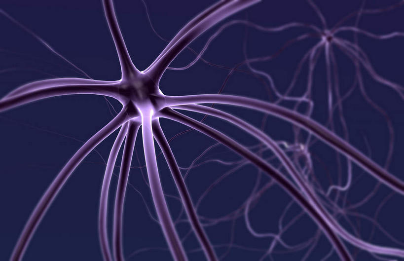 神经,无人,横图,插画,室内,特写,白天,正面,数码,科技,静物,阴影,黑色背景,网络,医学,细胞,高光,几何,计算机图形,合成,图画,画,紫色,人体,电脑合成图,数码合成图,生物学,漫画,神经元,生理学,写实,具体,具象,轴突,彩图,神经系统,神经组织