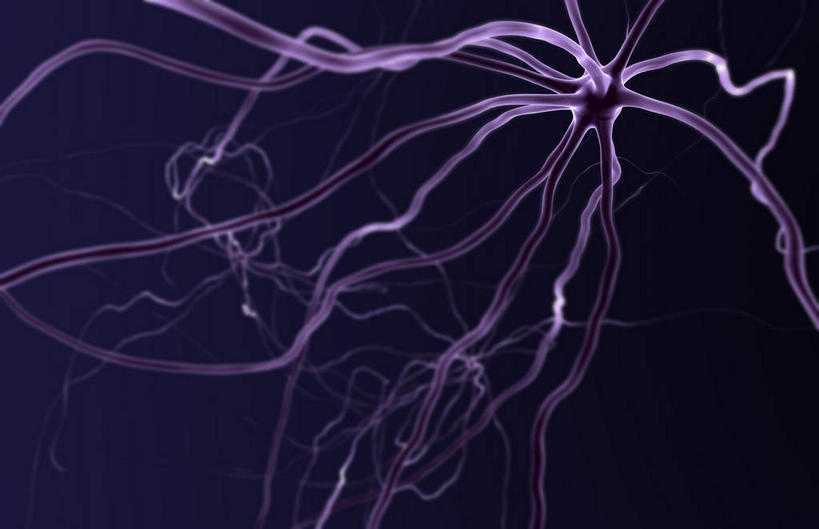 神经,无人,横图,插画,室内,特写,白天,正面,数码,科技,静物,阴影,黑色背景,网络,医学,细胞,高光,几何,计算机图形,合成,图画,画,紫色,人体,电脑合成图,数码合成图,生物学,漫画,神经元,生理学,写实,具体,具象,轴突,彩图,神经系统,神经组织