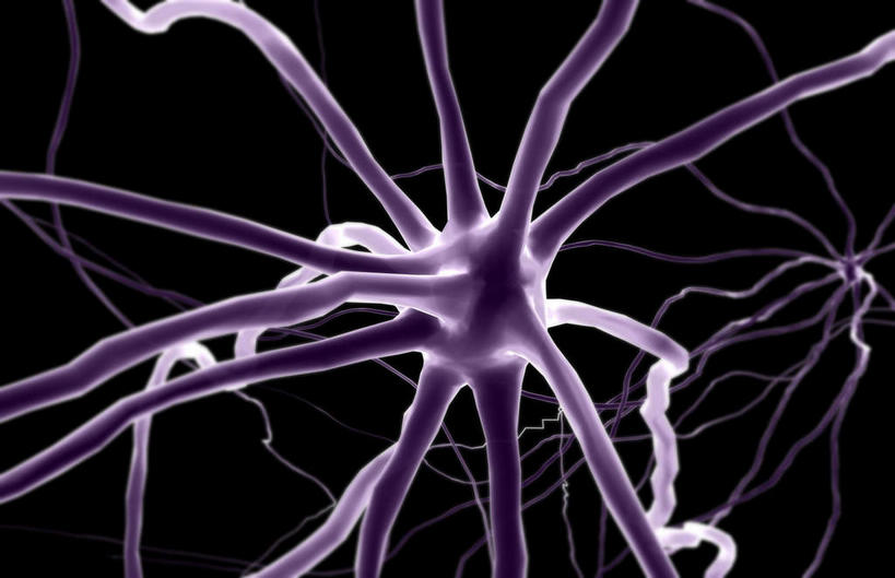 神经,无人,横图,插画,室内,特写,白天,正面,数码,科技,静物,阴影,黑色背景,网络,医学,细胞,高光,几何,计算机图形,合成,图画,画,紫色,人体,电脑合成图,数码合成图,生物学,漫画,神经元,生理学,写实,具体,具象,轴突,彩图,神经系统,神经组织