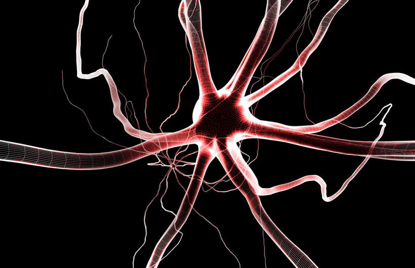 神经,无人,横图,插画,室内,特写,白天,正面,数码,科技,静物,阴影,黑色背景,网络,医学,细胞,高光,几何,计算机图形,合成,图画,画,红色,人体,电脑合成图,数码合成图,生物学,漫画,神经元,生理学,写实,具体,具象,轴突,彩图,神经系统,神经组织