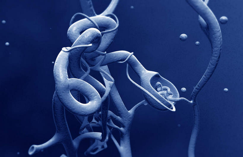 内脏,无人,横图,插画,室内,特写,白天,正面,数码,科技,静物,阴影,黑色背景,网络,医学,细胞,高光,几何,计算机图形,合成,图画,画,蓝色,模型,人体,电脑合成图,数码合成图,生物学,人体器官,器官,漫画,生理学,写实,具体,具象,彩图,肾小球,血液过滤器