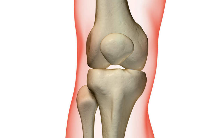 膝盖,动脉,静脉,骨骼,无人,横图,插画,x光片,室内,特写,白天,白色背景,正面,数码,科技,静物,阴影,辐射,科学,网络,医学,骨头,高光,几何,计算机图形,合成,图画,画,模型,人体,电脑合成图,数码合成图,骨架,医疗,生物学,科学技术,x射线,x光,漫画,生理学,写实,具体,具象,髌骨,腓骨,股骨,骨关节,彩图,电磁波,电磁辐射