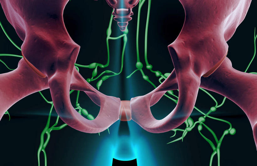 内脏,动脉,静脉,骨盆,无人,横图,插画,室内,白天,正面,数码,科技,静物,阴影,黑色背景,网络,医学,高光,几何,计算机图形,合成,图画,画,模型,人体,电脑合成图,数码合成图,生物学,人体器官,器官,漫画,生理学,写实,具体,具象,淋巴结,淋巴系统,淋巴管,淋巴组织,免疫系统,免疫组织,彩图