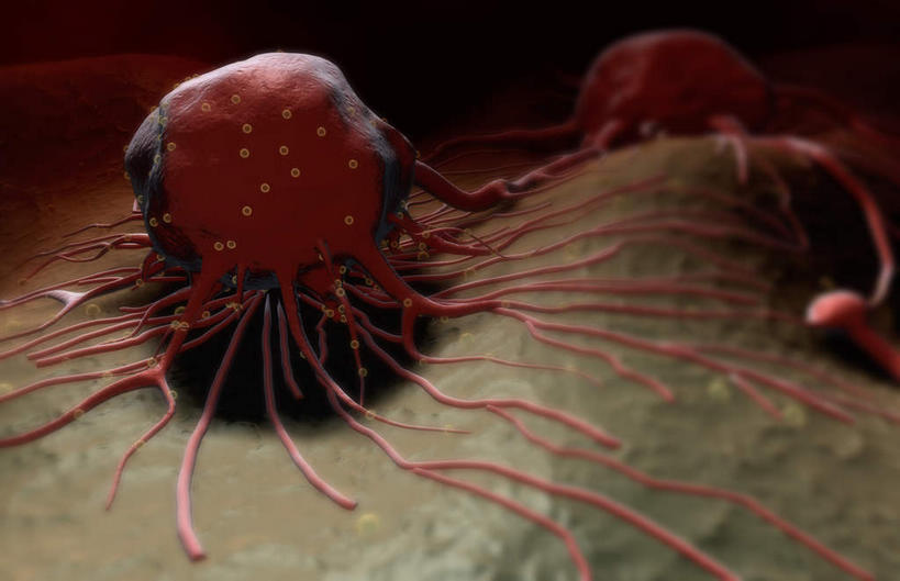 无人,横图,插画,室内,特写,白天,正面,数码,科技,静物,阴影,黑色背景,网络,医学,细胞,高光,几何,计算机图形,合成,图画,画,红色,人体,电脑合成图,数码合成图,生物学,漫画,癌症,癌细胞,生理学,写实,具体,具象,肿瘤细胞,彩图