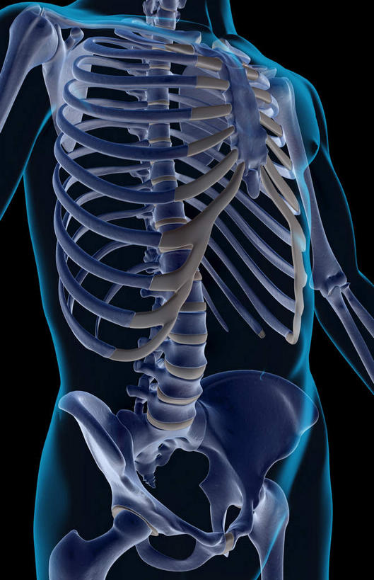 动脉,静脉,骨骼,肋骨,无人,竖图,x光片,室内,特写,白天,正面,数码,科技,静物,阴影,黑色背景,辐射,科学,网络,医学,骨头,高光,几何,计算机图形,合成,蓝色,模型,躯干,人体,电脑合成图,数码合成图,骨架,医疗,生物学,胸腔,科学技术,x射线,x光,生理学,写实,具体,具象,半身,彩图,电磁波,电磁辐射