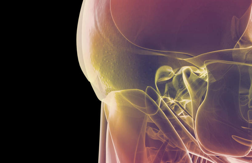 动脉,静脉,骨骼,肌肉,健壮,无人,横图,插画,室内,特写,白天,正面,数码,科技,静物,阴影,黑色背景,网络,医学,骨头,高光,几何,计算机图形,合成,图画,画,模型,健康,活力,力量,人体,青春,电脑合成图,数码合成图,骨架,生物学,强壮,漫画,生理学,写实,具体,具象,颞肌,彩图