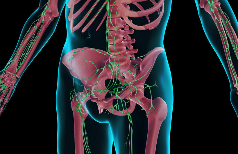 臀部,动脉,静脉,骨骼,关节,无人,横图,插画,x光片,室内,特写,白天,正面,数码,科技,静物,阴影,黑色背景,辐射,科学,网络,医学,骨头,高光,几何,计算机图形,合成,图画,画,模型,人体,皮肤,电脑合成图,数码合成图,骨架,医疗,生物学,科学技术,x射线,x光,漫画,生理学,写实,具体,具象,淋巴系统,淋巴细胞,淋巴,淋巴管,淋巴液,淋巴组织,免疫组织,髋关节,彩图,电磁波,电磁辐射