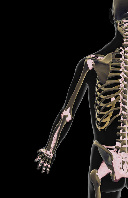 无人,横图,插画,x光片,室内,白天,正面,数码,科技,阴影,黑色背景,辐射,科学,网络,医学,高光,几何,计算机图形,合成,图画,画,皮肤,电脑合成图,数码合成图,医疗,科学技术,解剖,x射线,x光,韧带,漫画,写实,具体,具象,彩图,电磁波,电磁辐射