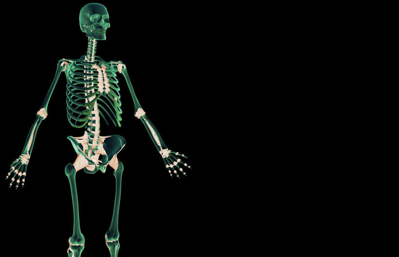无人,横图,插画,x光片,室内,白天,正面,数码,科技,阴影,黑色背景,发光,辐射,科学,网络,医学,高光,几何,计算机图形,合成,图画,画,绿色,皮肤,电脑合成图,数码合成图,医疗,科学技术,x射线,x光,韧带,漫画,写实,具体,具象,腰部,彩图,前纵韧带,电磁波,电磁辐射