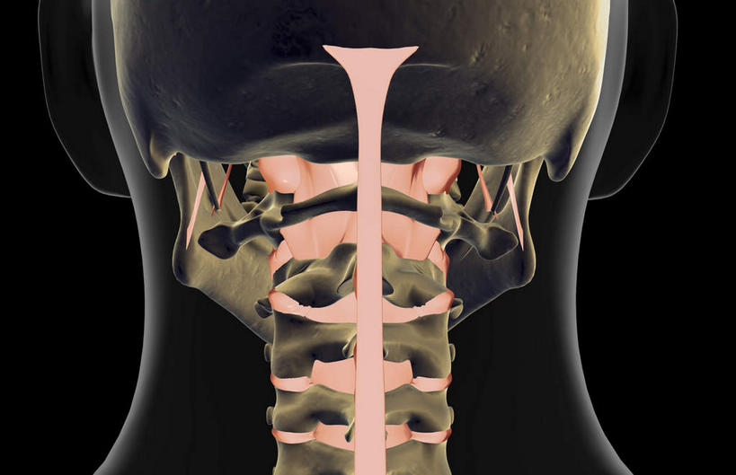 骨骼,无人,横图,x光片,室内,白天,正面,数码,科技,阴影,黑色背景,辐射,科学,网络,医学,骨头,高光,几何,计算机图形,合成,皮肤,电脑合成图,数码合成图,骨架,医疗,科学技术,x射线,x光,韧带,写实,具体,具象,半身,彩图,电磁波,电磁辐射