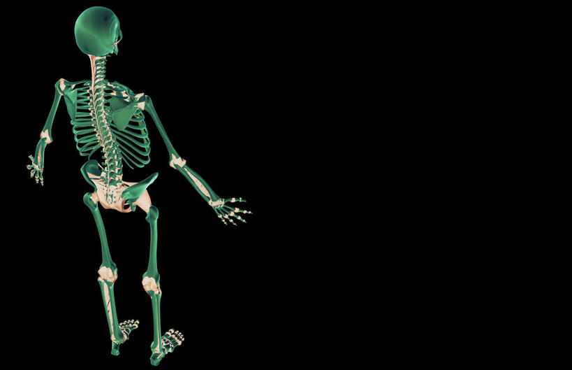骨骼,无人,横图,俯视,x光片,室内,白天,数码,科技,阴影,黑色背景,辐射,科学,网络,医学,骨头,高光,几何,计算机图形,合成,电脑合成图,数码合成图,骨架,医疗,科学技术,x射线,x光,韧带,写实,具体,具象,彩图,高角度拍摄,全身,电磁波,电磁辐射