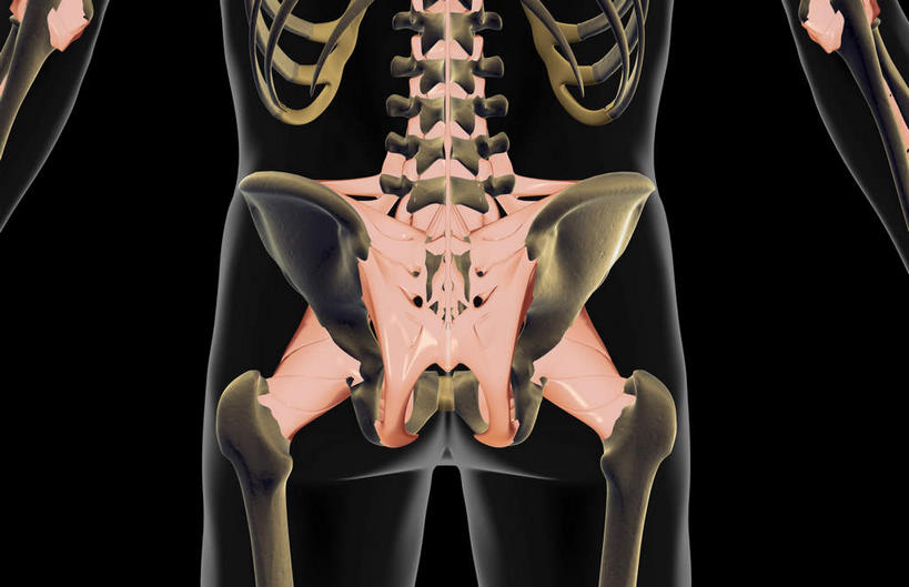 骨骼,无人,横图,x光片,室内,白天,正面,数码,科技,阴影,黑色背景,辐射,科学,网络,医学,骨头,高光,几何,计算机图形,合成,电脑合成图,数码合成图,骨架,医疗,科学技术,x射线,x光,韧带,写实,具体,具象,下半身,半身,彩图,电磁波,电磁辐射