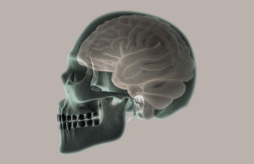 动脉,骨骼,血管,无人,横图,x光片,室内,白天,白色背景,正面,数码,科技,大脑,阴影,辐射,科学,网络,医学,骨头,高光,几何,计算机图形,合成,皮肤,电脑合成图,数码合成图,骨架,医疗,科学技术,x射线,器官,沟壑,x光,小脑,脑干,写实,具体,具象,大脑皮层,端脑,沟,灰质,回,间脑,脑动脉,彩图,脑膜,电磁波,电磁辐射