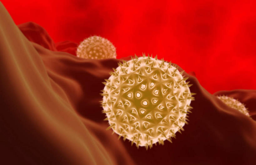 无人,横图,室内,特写,白天,正面,数码,科技,静物,阴影,黑色背景,网络,医学,细胞,高光,几何,计算机图形,合成,人体,电脑合成图,数码合成图,生物学,花粉,过敏,生理学,写实,具体,具象,过敏反应,花粉症,彩图