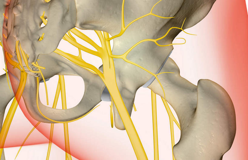 骨骼,无人,横图,x光片,室内,白天,白色背景,正面,数码,科技,阴影,辐射,科学,网络,医学,骨头,高光,几何,计算机图形,合成,皮肤,电脑合成图,数码合成图,骨架,医疗,科学技术,x射线,x光,写实,具体,具象,髋关节,彩图,电磁波,电磁辐射