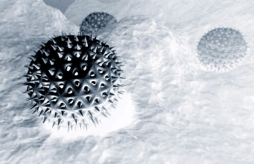 无人,横图,室内,特写,白天,正面,数码,科技,静物,阴影,黑色背景,网络,医学,细胞,高光,几何,计算机图形,合成,人体,电脑合成图,数码合成图,生物学,花粉,过敏,生理学,写实,具体,具象,过敏反应,花粉症,彩图