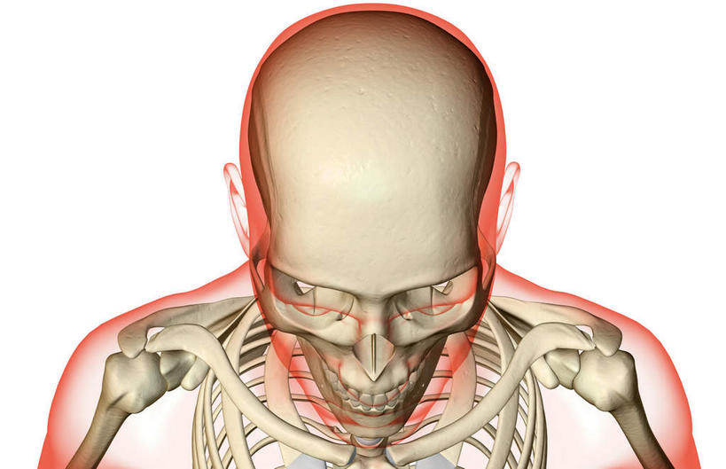 脸,头,脸颊,脖子,颅骨,骨骼,无人,横图,x光片,室内,白天,白色背景,正面,数码,科技,阴影,辐射,科学,网络,医学,骨头,高光,几何,计算机图形,合成,皮肤,电脑合成图,数码合成图,骨架,医疗,科学技术,x射线,x光,写实,具体,具象,颚骨,颈椎骨,头盖骨,头部,脖,颈,颈部,脸部,脸蛋,面部,彩图,电磁波,电磁辐射
