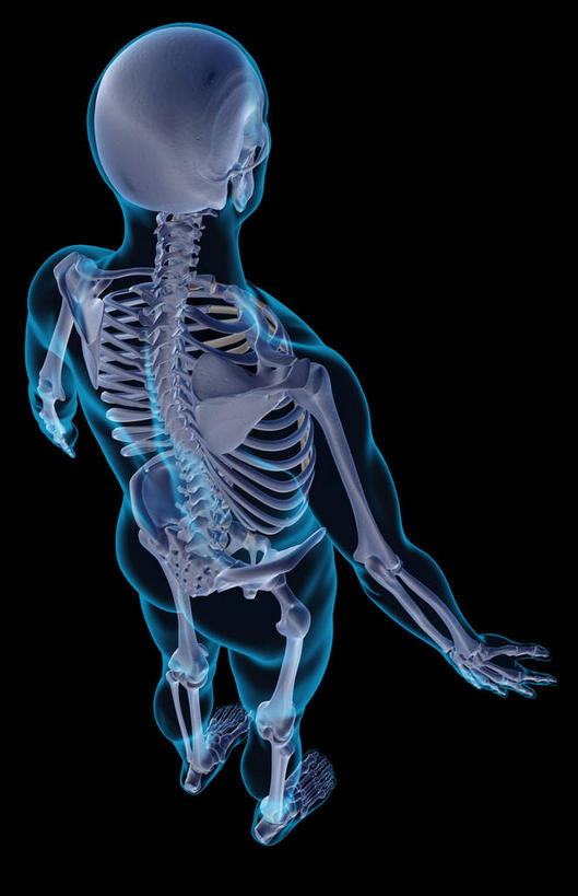 骨骼,无人,竖图,x光片,室内,白天,正面,数码,科技,阴影,黑色背景,辐射,科学,网络,医学,骨头,高光,几何,计算机图形,合成,皮肤,电脑合成图,数码合成图,骨架,医疗,科学技术,x射线,x光,写实,具体,具象,第一颈椎,骨骼系统,半身,彩图,电磁波,电磁辐射