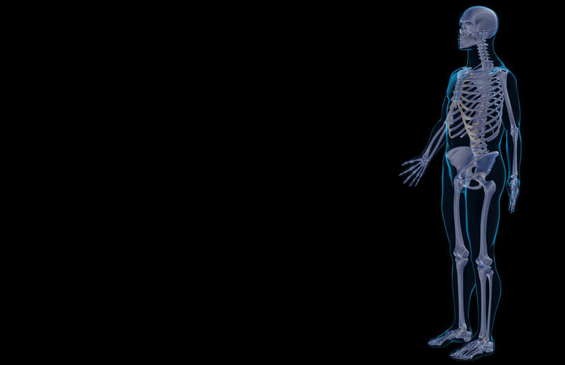 骨骼,肋骨,无人,横图,x光片,室内,白天,正面,数码,科技,阴影,黑色背景,辐射,科学,网络,医学,骨头,高光,几何,计算机图形,合成,皮肤,电脑合成图,数码合成图,骨架,医疗,科学技术,x射线,x光,写实,具体,具象,骨骼系统,半身,彩图,全身,电磁波,电磁辐射
