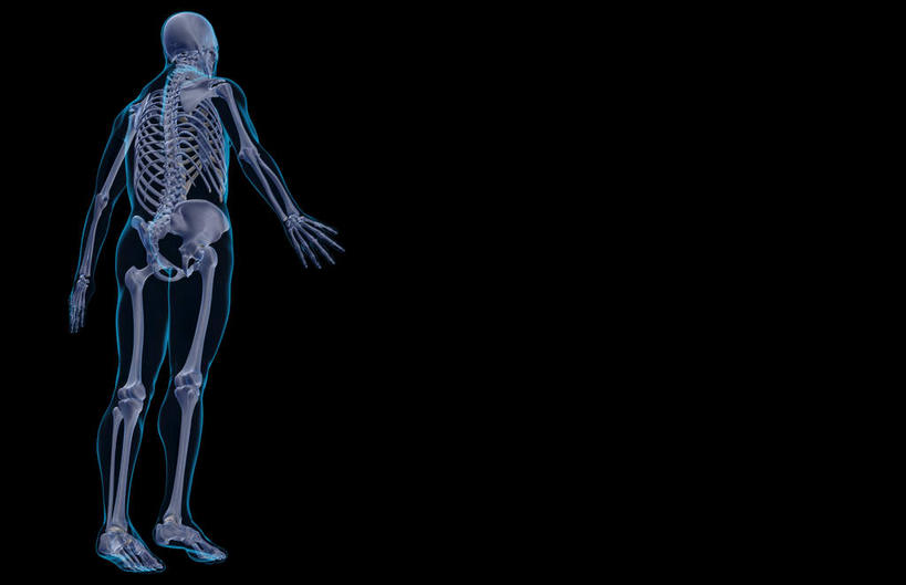 骨骼,肋骨,无人,横图,x光片,室内,白天,正面,数码,科技,阴影,黑色背景,辐射,科学,网络,医学,骨头,高光,几何,计算机图形,合成,皮肤,电脑合成图,数码合成图,骨架,医疗,科学技术,x射线,x光,写实,具体,具象,骨骼系统,彩图,全身,电磁波,电磁辐射