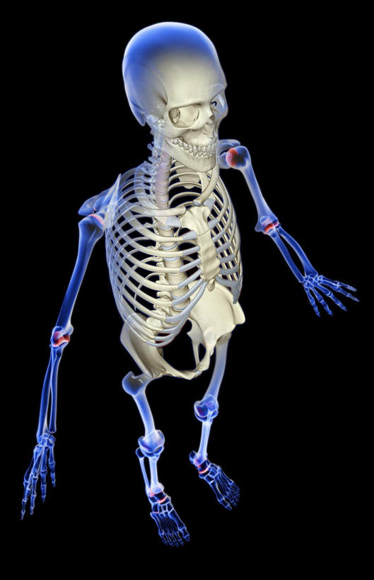 骨骼,肋骨,无人,竖图,x光片,室内,白天,正面,数码,科技,阴影,黑色背景,发光,辐射,科学,网络,医学,骨头,高光,几何,计算机图形,合成,蓝色,电脑合成图,数码合成图,骨架,医疗,科学技术,x射线,x光,写实,具体,具象,骨骼系统,半身,彩图,电磁波,电磁辐射