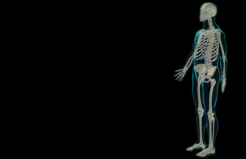 骨骼,肋骨,无人,横图,x光片,室内,白天,正面,数码,科技,阴影,黑色背景,辐射,科学,网络,医学,骨头,高光,几何,计算机图形,合成,皮肤,电脑合成图,数码合成图,骨架,医疗,科学技术,x射线,x光,写实,具体,具象,骨骼系统,半身,彩图,全身,电磁波,电磁辐射