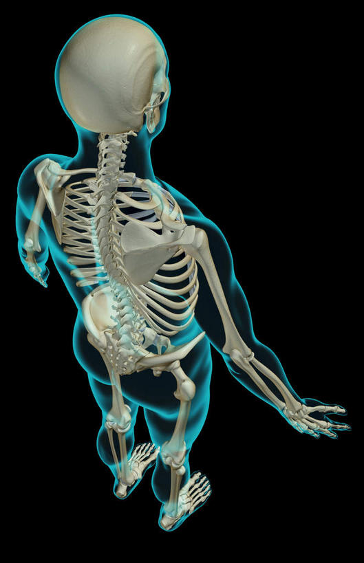 骨骼,肋骨,无人,竖图,x光片,室内,白天,正面,数码,科技,阴影,黑色背景,辐射,科学,网络,医学,骨头,高光,几何,计算机图形,合成,皮肤,电脑合成图,数码合成图,骨架,医疗,科学技术,x射线,x光,写实,具体,具象,骨骼系统,半身,彩图,电磁波,电磁辐射