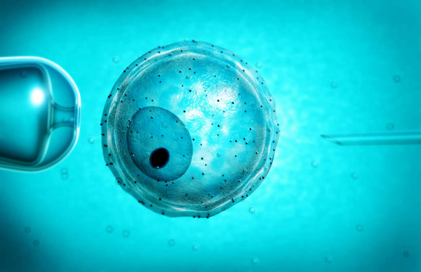 无人,横图,插画,室内,特写,白天,白色背景,正面,数码,科技,静物,阴影,科学,网络,医学,细胞,高光,几何,计算机图形,合成,图画,画,蓝色,怀孕,人体,电脑合成图,数码合成图,医疗,生物学,科学技术,人工受精,漫画,试管婴儿,生理学,写实,具体,具象,彩图,体外受精,体外受孕