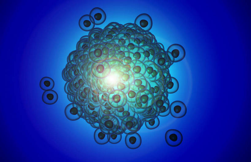 无人,横图,插画,室内,特写,白天,白色背景,正面,数码,科技,静物,阴影,网络,医学,细胞,高光,几何,计算机图形,合成,图画,画,人体,电脑合成图,数码合成图,生物学,卵子,漫画,生理学,写实,具体,具象,胚胎移植,彩图,生殖器官