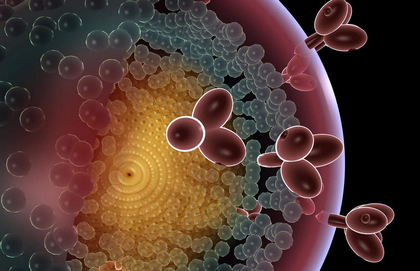 无人,横图,插画,室内,特写,白天,正面,数码,科技,静物,阴影,发光,网络,医学,细胞,高光,几何,计算机图形,合成,图画,画,红色,人体,电脑合成图,数码合成图,疾病,生物学,艾滋病,漫画,生理学,写实,具体,具象,传染,传染病,HIV病毒,后天性免疫缺陷症候群,获得性免疫缺陷综合症,流行症,慢性病,人类免疫缺陷病毒,症候群,综合症,致命,艾滋,艾滋病病毒,彩图,感染